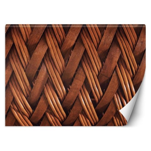 Fototapeta, Splot wikliny 3D - 350x245