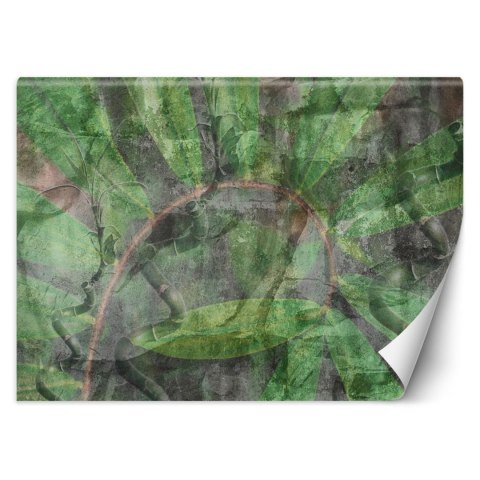 Fototapeta, Tropikalne rośliny - 150x105