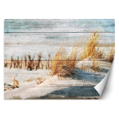 Fototapeta, Wydmy plaża na drewnie - 200x140