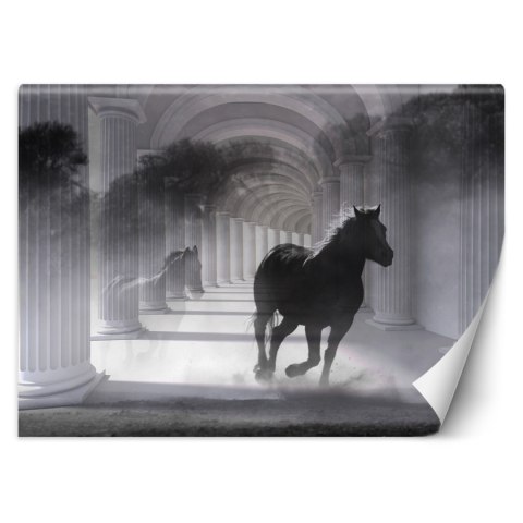 Fototapeta, Tunel biegnący koń efekt 3D - 400x280