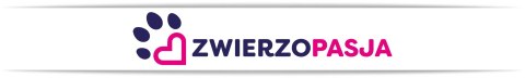 Szelki dla psa ASTRO błękitne rozmiar XL
