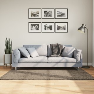 Dywan ISTAN z długim runem, połyskujący, szary, 120x170 cm