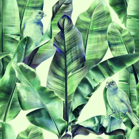 Tapeta Tapeta