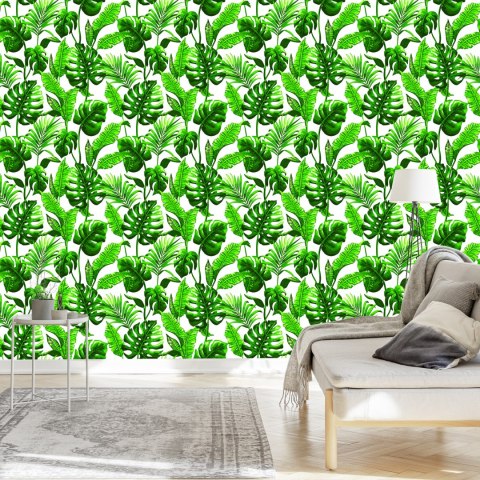 Tapeta Liście Monstera I Palmy
