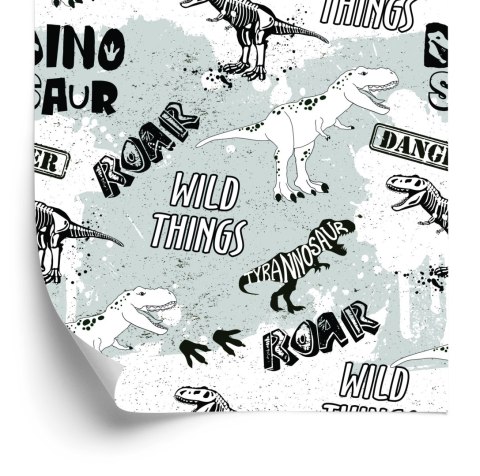 Tapeta W Dinozaury, Zwierzęta, Do Pokoju Dziecka