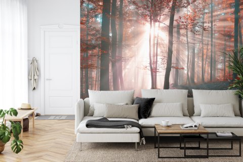 Fototapeta Las Barwy Jesieni