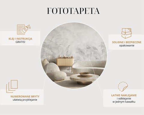 Fototapeta Las We Mgle
