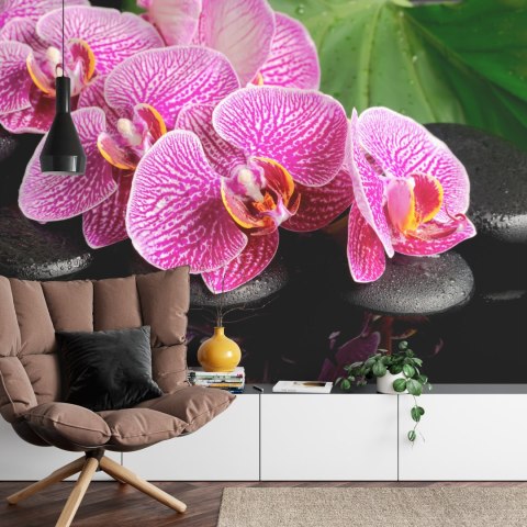 Fototapeta Orchidea Spa