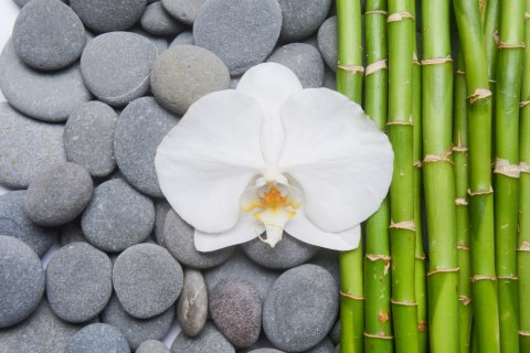 Fototapeta Bambusy Z Kamieniami I Orchideą