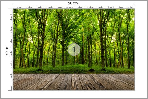 Fototapeta Wejdź Do Ciemnozielonego Lasu