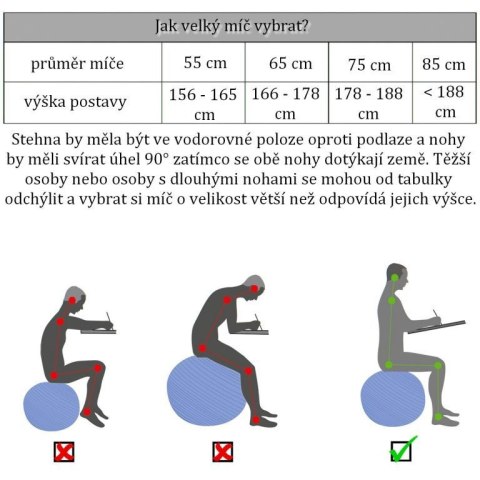 MOVIT Piłka gimnastyczna z pompką, 65 cm, szara