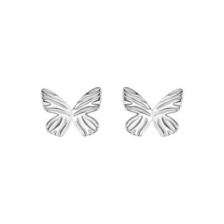 Rhodium plated silver earrings KDK6667