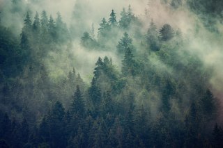 Obraz Na Płótnie Misty Landscape With Fir Forest In Hipster Vintage Retro Style