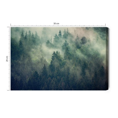 Obraz Na Płótnie Misty Landscape With Fir Forest In Hipster Vintage Retro Style