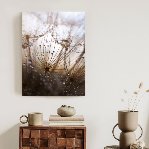 Plakat Dmuchawiec Z Kroplami Rosy