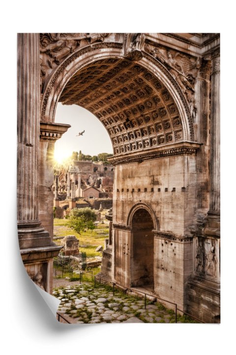 Plakat Architektura Forum Romanum W Rzymie