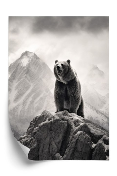 Plakat Niedźwiedź Grizzly Na Wysokiej Skale