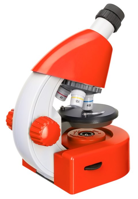 (ES) Mikroskop Levenhuk Discovery Micro z książką