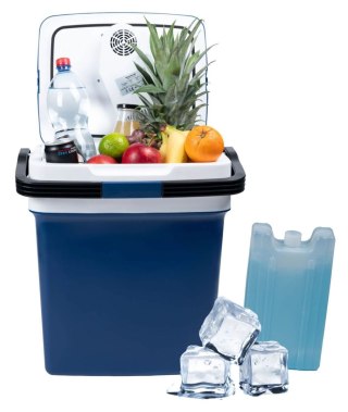 Lodówka turystyczna przenośna samochodowa 29L 220-240V DC12V funkcja grzania wkład gratis niebieska