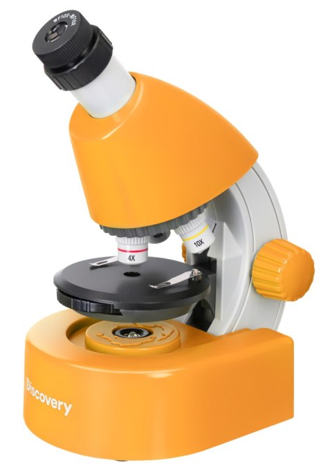 (EN) Mikroskop Levenhuk Discovery Micro z książką
