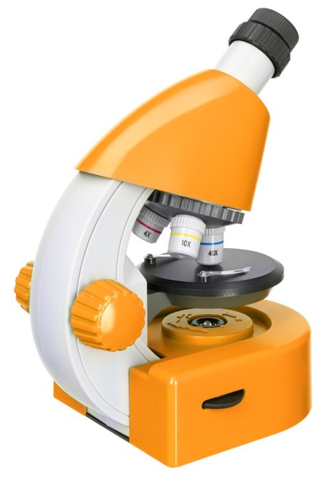 (EN) Mikroskop Levenhuk Discovery Micro z książką