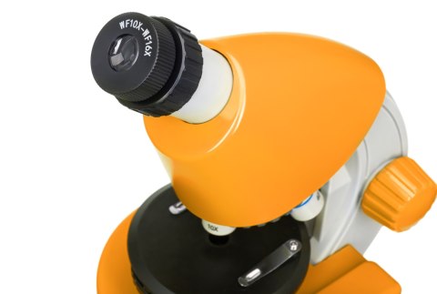 (EN) Mikroskop Levenhuk Discovery Micro z książką