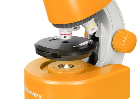 (ES) Mikroskop Levenhuk Discovery Micro z książką