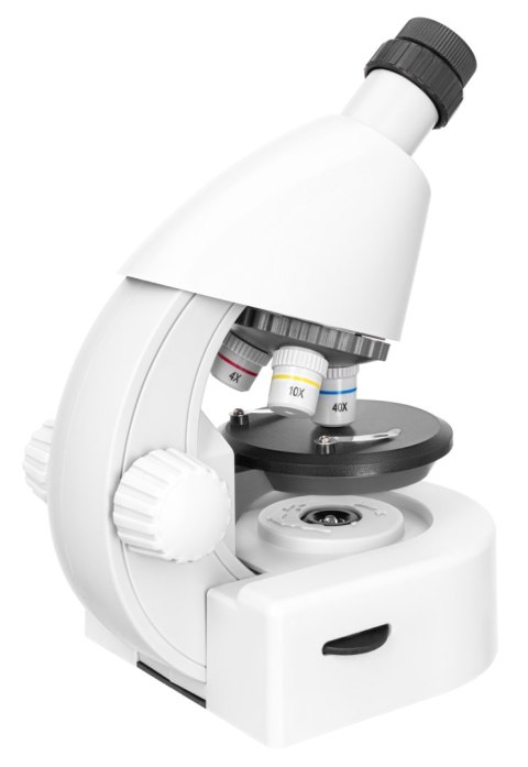 (EN) Mikroskop Levenhuk Discovery Micro z książką