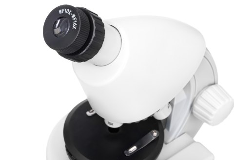 (EN) Mikroskop Levenhuk Discovery Micro z książką