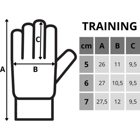 RĘKAWICE BRAMKARSKIE ENERO TRAINING R.7