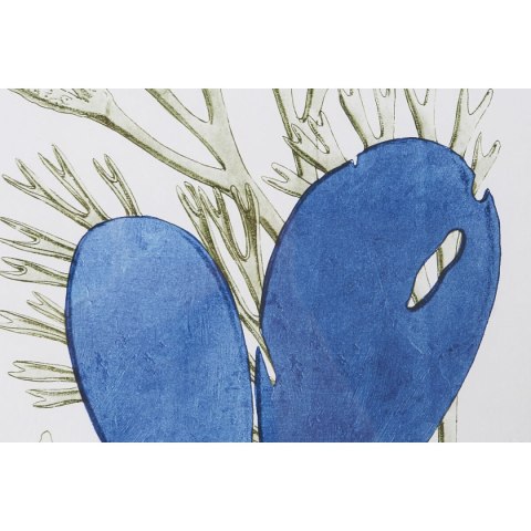 Obraz Home ESPRIT Szkło Jodła 35 x 2,5 x 45 cm