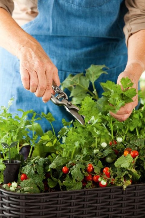 Doniczka EASY GROW - brązowy