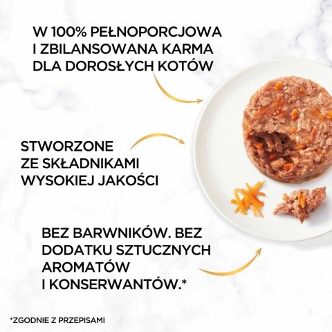 PURINA GOURMET GOLD Savoury Cake Mix Smaków 48x85g