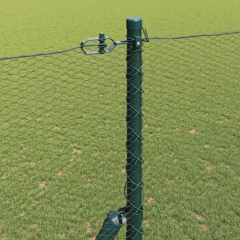 Ogrodzenie z słupkami Zielony 1.6 x 50 m Stal pokryta PCV