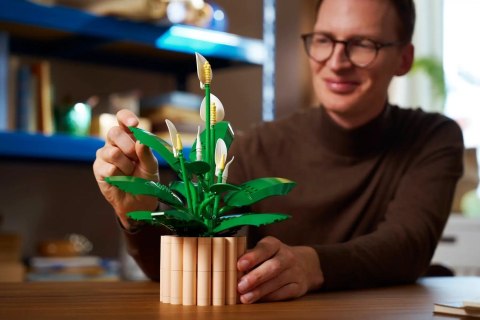 LEGO Botanical 11504 Skrzydłokwiat w doniczce