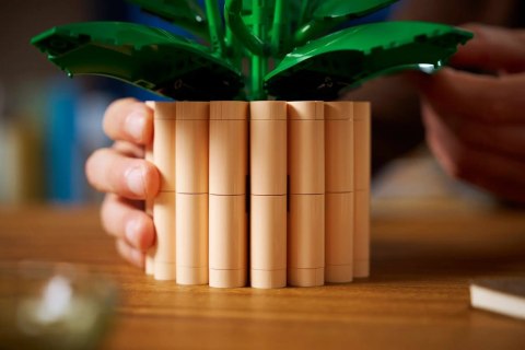 LEGO Botanical 11504 Skrzydłokwiat w doniczce