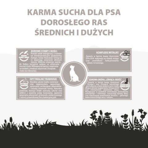 PUPIL PREMIUM M&L bogata w jagnięcinę 12kg