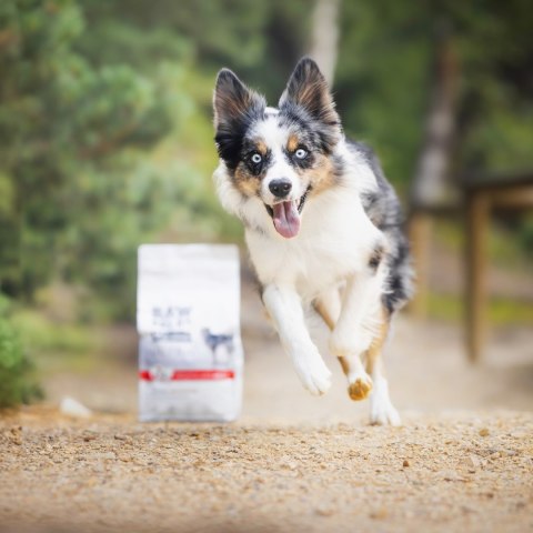 VetExpert Raw Paleo Ultra Wołowina Medium&Large Puppy 10kg (WYPRZEDAŻ)