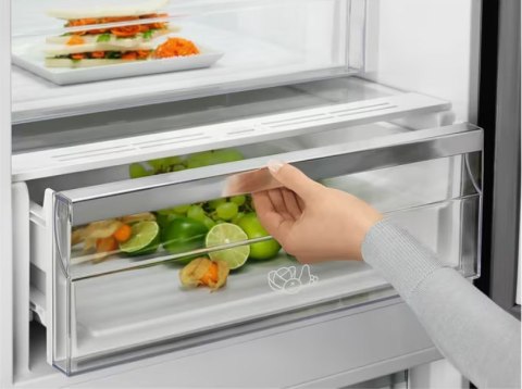 Chłodziarko-zamrażarka ELECTROLUX LNT7ME36G2 (WYPRZEDAŻ)