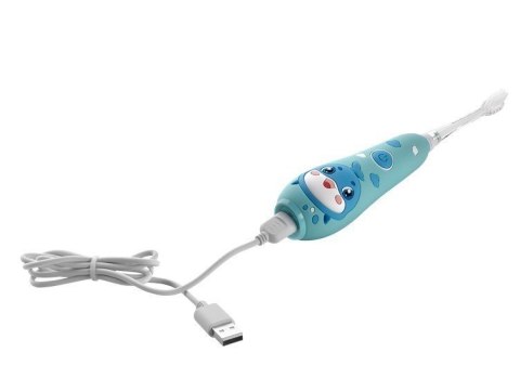 Szczoteczka soniczna niebieska ZK3020 CONCEPT