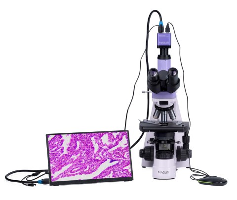 Mikroskop biologiczny cyfrowy MAGUS Bio D250TL LCD