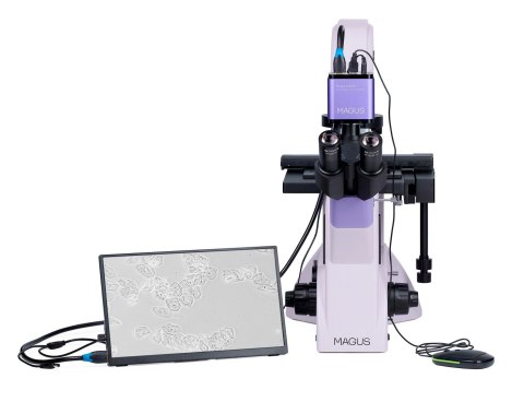 Odwrócony mikroskop biologiczny cyfrowy MAGUS Bio VD350 LCD