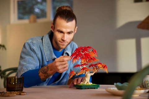 LEGO The Botanical Collection 10348 - Klon palmowy Bonsai