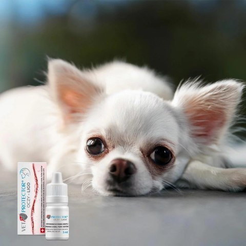 JM SANTE VET PROTECTOR OCZY LIGO 3ml