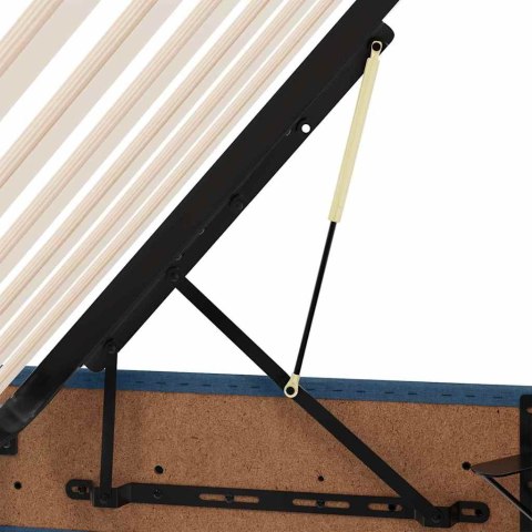 Łóżko z miejscem na przechowywanie i LED Niebieski 200 x 200 cm