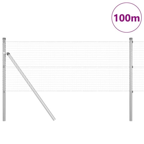 Słupek ogrodzeniowy. Srebrny 100 x 0,4 m (siatka 25 x 25 mm)