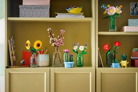 LEGO Botanical Collection 11509 - Kwitnący kaktus