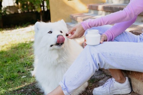 VIRBAC MOVOFLEX miękkie korokiety na stawy dla psa S