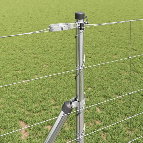 Słupek ogrodzeniowy. Galwanizowany 50 x 1,2 m Stal