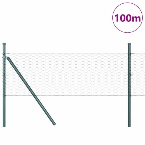 Słupek ogrodzeniowy. Zielony 100 x 0,4 m (siatka 36 mm)